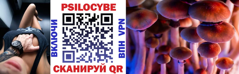 Галлюциногенные грибы Psilocybe что такое Славгород