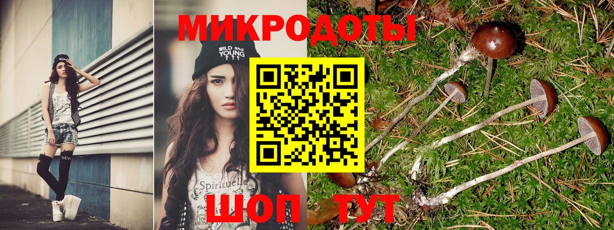 Галлюциногенные грибы Cubensis Славгород