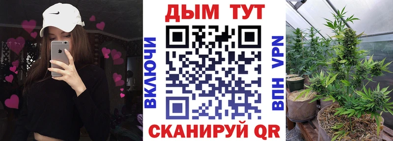 hydra как войти  Славгород  Каннабис ГИДРОПОН 